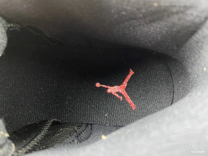 Cheap TBkick Flu Jordan (2016) 130690-002 12 Game Retro 0804